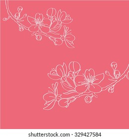 Cherry blossom flower vector illustration 