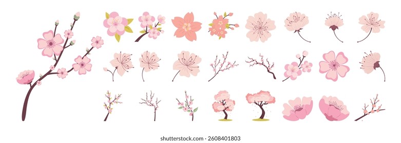 Cherry Blossom Flower Vector Illustrations Set