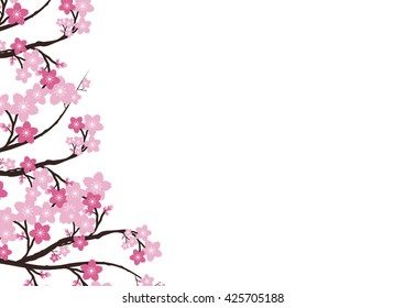 Cherry blossom flowers background. Sakura  pink flowers  
background.
