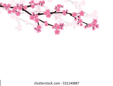 Cherry blossom flowers background. Sakura  pink flowers  background.
