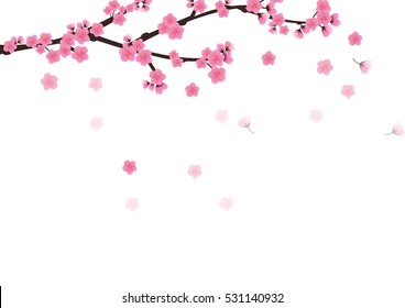 Cherry blossom flowers background. Sakura  pink flowers  background.
