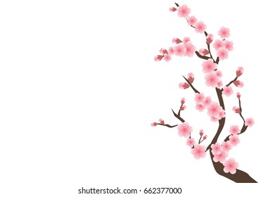 Cherry blossom flowers background. Sakura  pink flowers background.