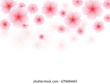 Cherry blossom flowers background. Sakura  pink flowers  background.