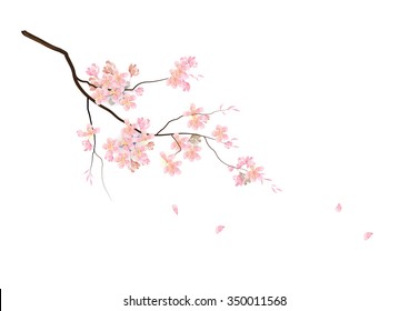 Cherry blossom flowers with branch pink color watercolor look created with art brush 