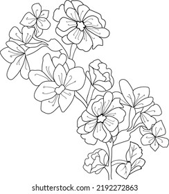 Kirschblüten und Ast-Vektorgrafik. handgezeichnete Vektorgrafik mit Farbbuch oder Seite Schwarz-Weiß-Tintenkunst, für Kinder oder Erwachsene.