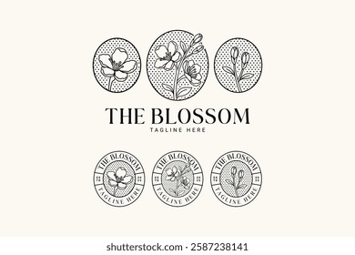 cherry blossom flowers, buds, petals with leaves line art vintage logo design. simple several stems of blossom badge logo concept. feminine cherry blossom flower logo for beauty, cosmetic, boutique