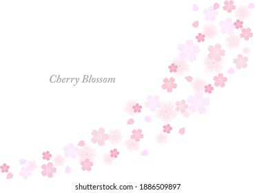 cherry blossom flowers line vector illustration