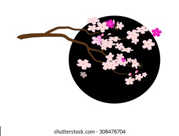 cherry blossom flowers on the branch black cycle background,Vector illustration