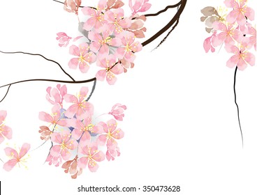 Cherry blossom  flowers on white background watercolor look ,vector illustration