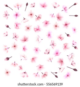 Cherry blossom, flowers of sakura, set, pink, flowers collection,vector illustration. Hanami festival. Blooming Sakura, plum Ume. The Lunar Chinese New Year. Spring festival