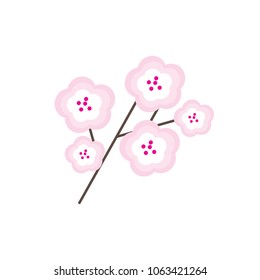 cherry blossom flowers vector