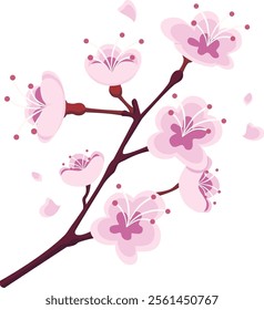 Cherry Blossom Flowers Vector Illustration