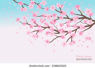 Cherry blossom and flying flower on background, beautiful nature vector illustration, Sakura Japanese flower.