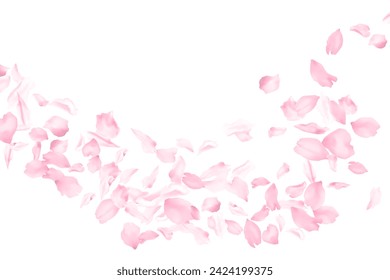 Cherry blossom flying petals flower parts falling with wind isolated on white. Vector Valentine's Day background illustration. Sakura blossom pink flower petals. Brooming peach tree elements.