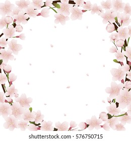 Cherry blossom frame