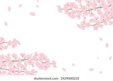 Cherry blossom frame background in full bloom