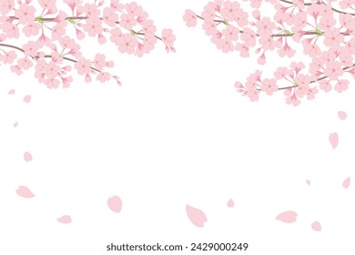 Cherry blossom frame background in full bloom