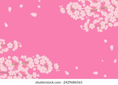 Cherry blossom frame background pink in full bloom