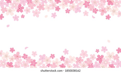 Cherry blossom frame, background, vector illustration