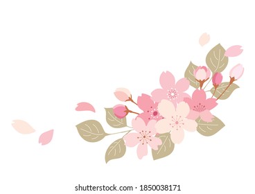 Cherry blossom frame, background, vector illustration