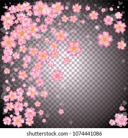 Cherry blossom frame or border on transparent background