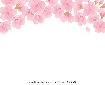 Cherry blossom frame in full bloom