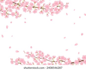 Cherry blossom frame in full bloom