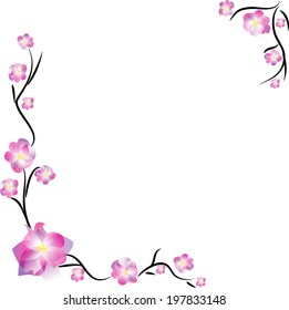 Cherry blossom frame, isolated on white