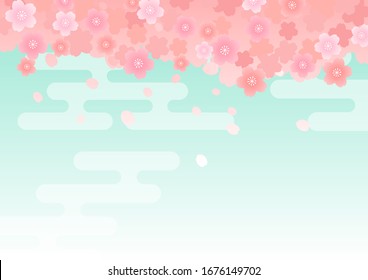 Cherry blossom in full bloom on a background of blue sky