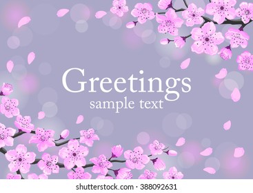  Cherry Blossom Greeting Card. Spring Floral Background 