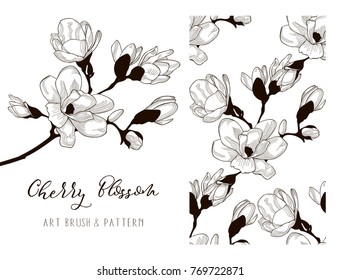 Cherry Blossom Hand Drawn Flower . Floral Design Element. Object, Color adjustable Flexible Art Brush and Seamless Pattern. Vector Illustration