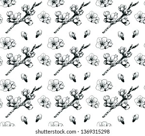 Cherry blossom hand drawn ink seamless pattern