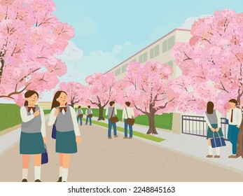 Cherry blossom and high school students in spring.