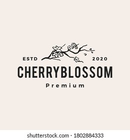 Cherry Blossom Hipster Vintage Logo Vector Icon Illustration