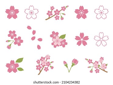 Cherry blossom  icon  illustration 
 vector