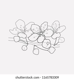 Cherry blossom icon line element. Vector illustration of cherry blossom icon line isolated on clean background for your web mobile app logo design.