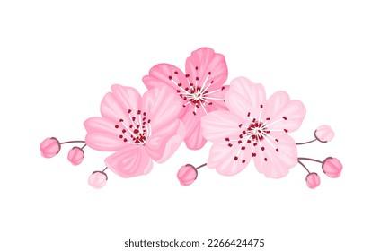 Icono de flor de cerezo. Flores sakura y brotes ilustraciones de dibujos vectoriales. Arreglo floral primaveral.