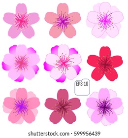 Cherry blossom icon set. Vector