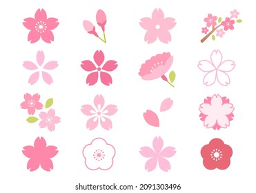 Cherry blossom icon vector illustration set