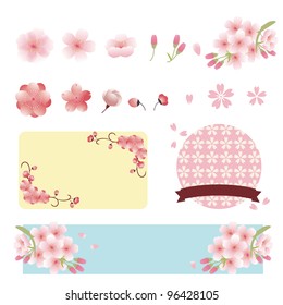 cherry blossom illustration