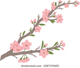 Cherry blossom illustration. Cute, lovely.