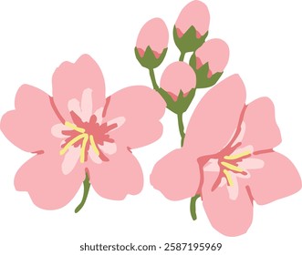 Cherry blossom illustration. Cute, lovely.