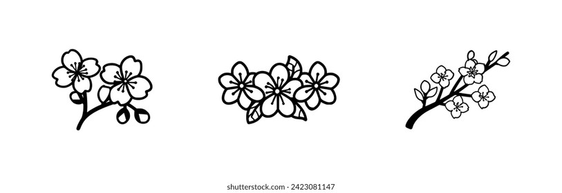 cherry blossom illustration and icon - flat design