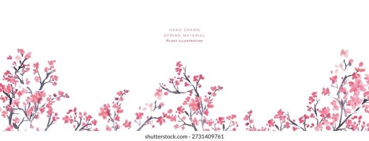 
Ilustración de flor de cerezo. Fondo de primavera con flores de cerezo de acuarela. Ilustración vectorial de flor de cerezo. Marco de flor de cerezo de primavera.