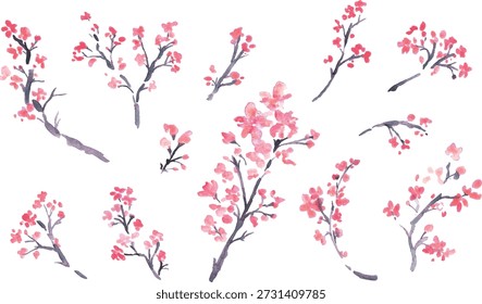 
Ilustración de flor de cerezo. Fondo de primavera con flores de cerezo de acuarela. Ilustración vectorial de flor de cerezo. Marco de flor de cerezo de primavera.
