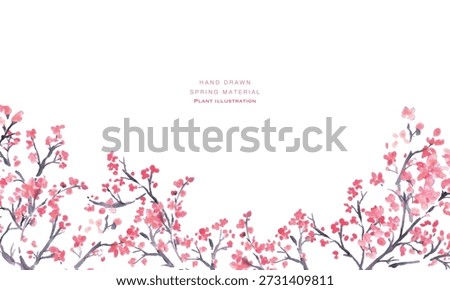 
Cherry blossom illustration. Spring background with watercolor cherry blossoms. Cherry blossom vector illustration. Spring cherry blossom frame.
