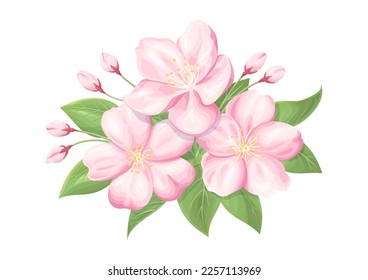 Cherry blossom illustration, vector material, spring key visuals, illustration material as design element.