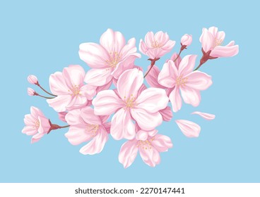 Cherry blossom illustration, vector material, spring themed clipart.