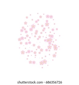 Cherry blossom isolated on white