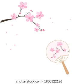 Cherry blossom and Japanese paper fan icon isolated on white background vector illustration.